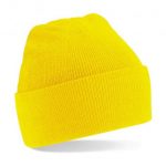 308.69 giallo