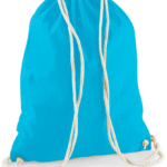 PS_W110-FS_SURFBLUE